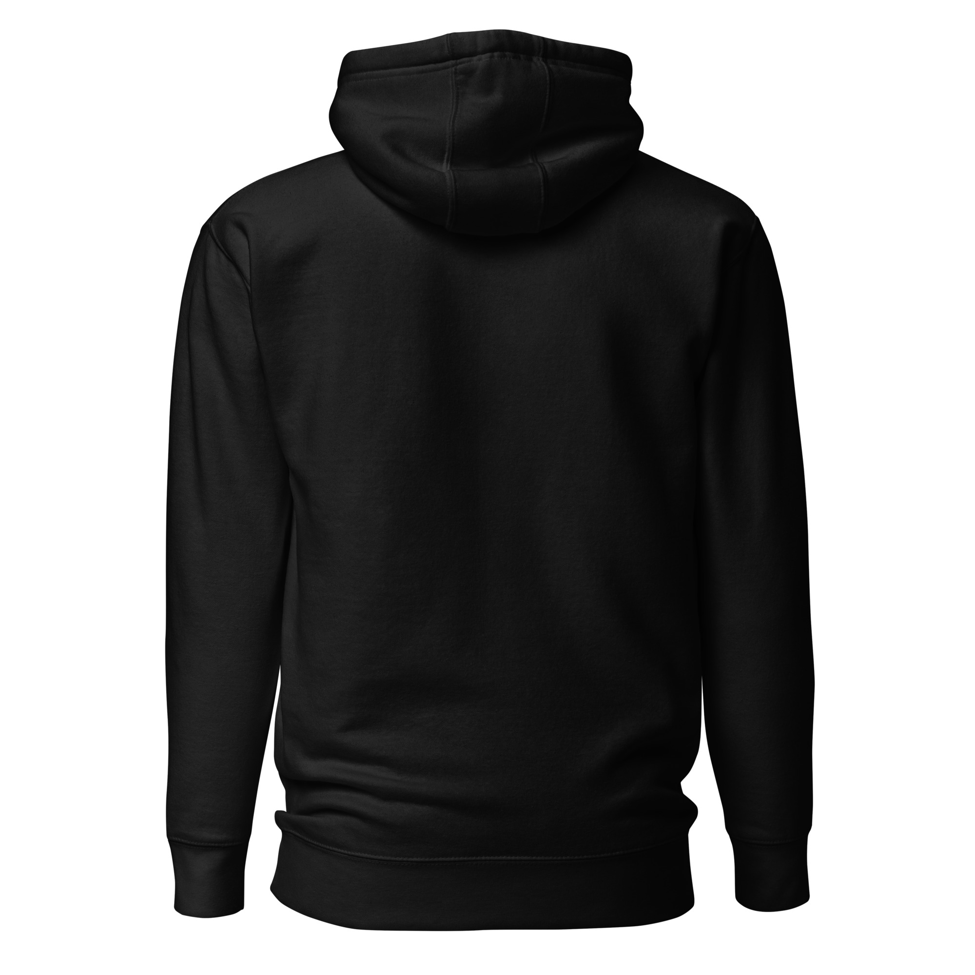 unisex-premium-hoodie-black-back-6634e620bcbb2.jpg